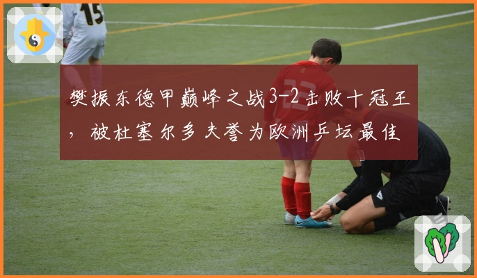 樊振东德甲巅峰之战3-2击败十冠王，被杜塞尔多夫誉为欧洲乒坛最佳礼物