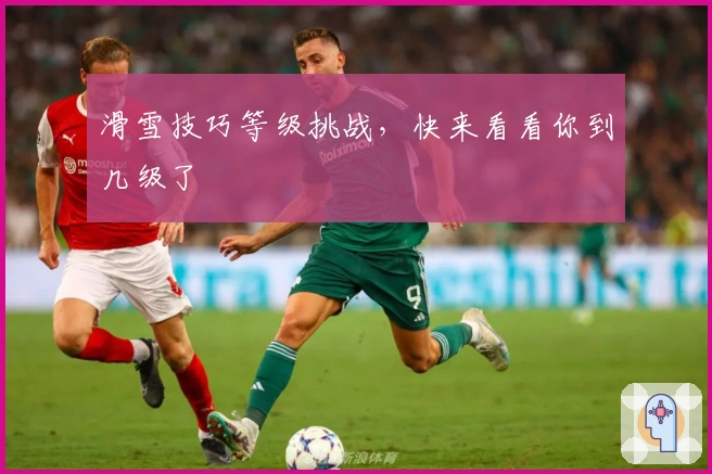 滑雪技巧等级挑战，快来看看你到几级了