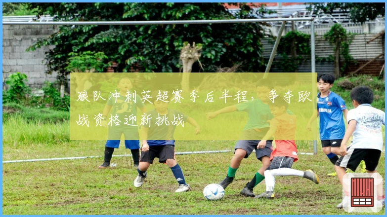 狼队冲刺英超赛季后半程，争夺欧战资格迎新挑战