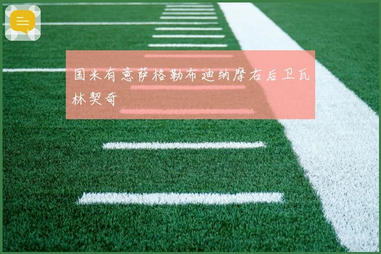 国米有意萨格勒布迪纳摩右后卫瓦林契奇