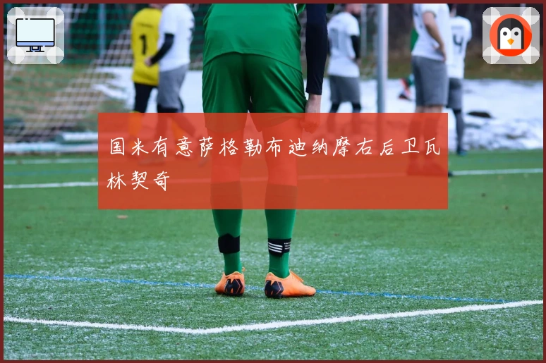 国米有意萨格勒布迪纳摩右后卫瓦林契奇