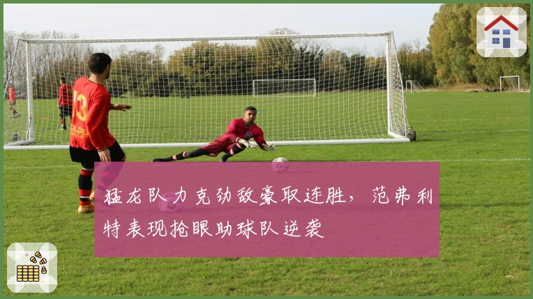 猛龙队力克劲敌豪取连胜，范弗利特表现抢眼助球队逆袭