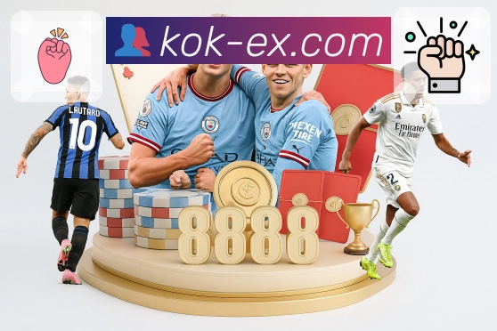 <strong>kok</strong>掌上查数 App 预览